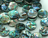 Iridescent PAUA Shell beads  ABALONE Shell beads double sided 14mm Coin beads