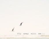 fly away with me, to where we feel the ocean breeze - 8x8" beach photograph - SusannahTucker
