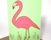 Flamingo card