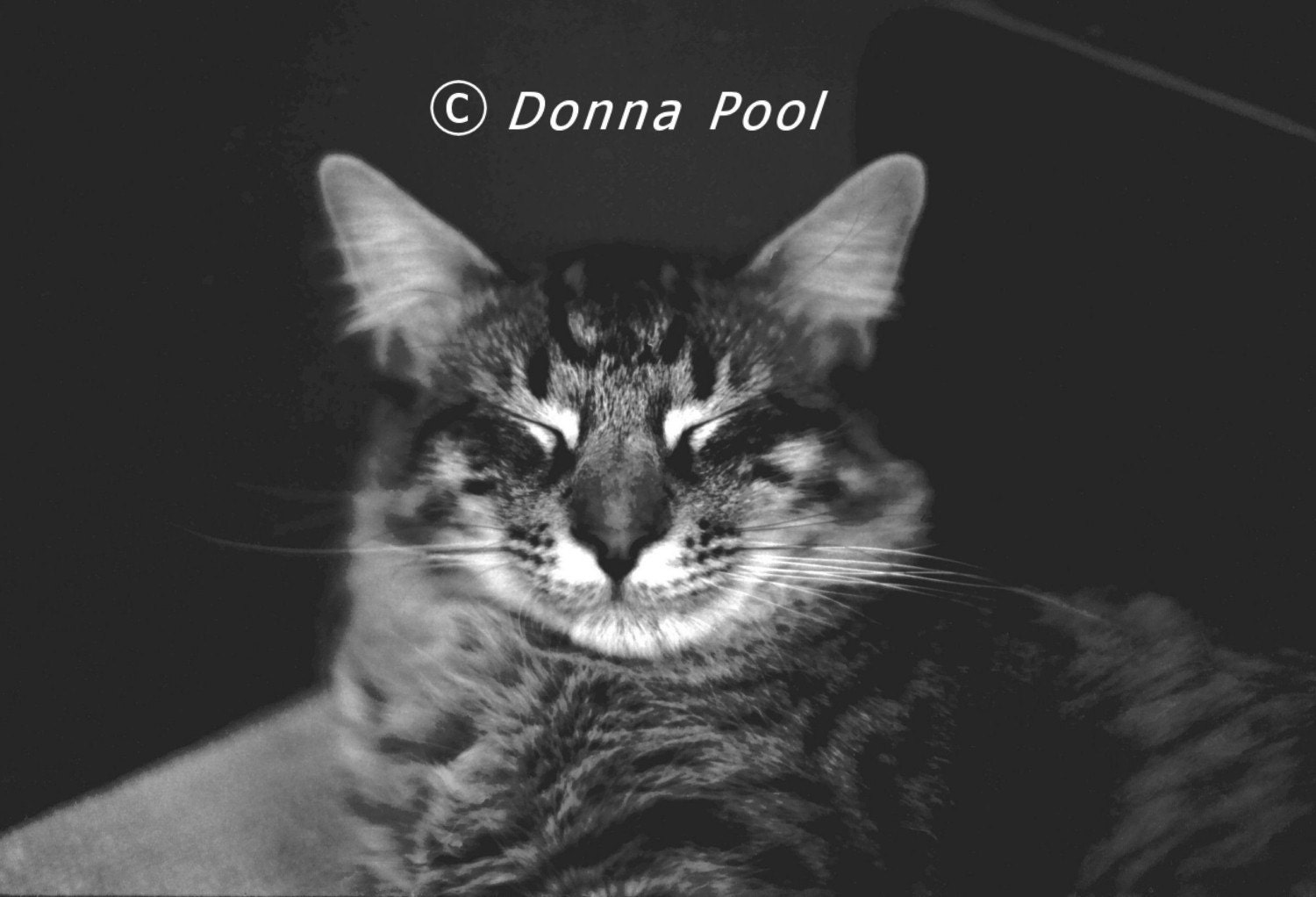 Original 5x7 Photo Smiling Sebastian