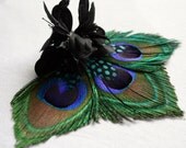Natalie Peacock Feather and Black Silk Flower Hair Clip