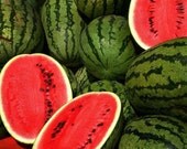 Watermelon  Fragrance Oil  2 oz for candle and soap making