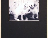 Matted Photograph ACEO Snowflake 1 