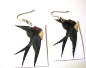 Vintage Print Swallow Bird Earrings Photo Jewelry