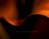 Curved Orange Leaf 8x10 Abstract Photo Art Print - affordable home decor