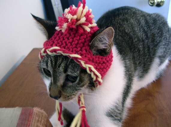 Earflap Cat Hat with Pom Pom