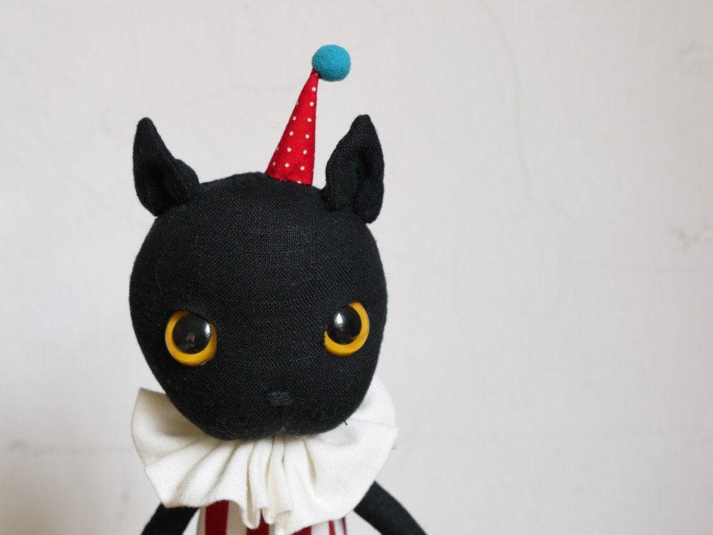 Notty the little black cat