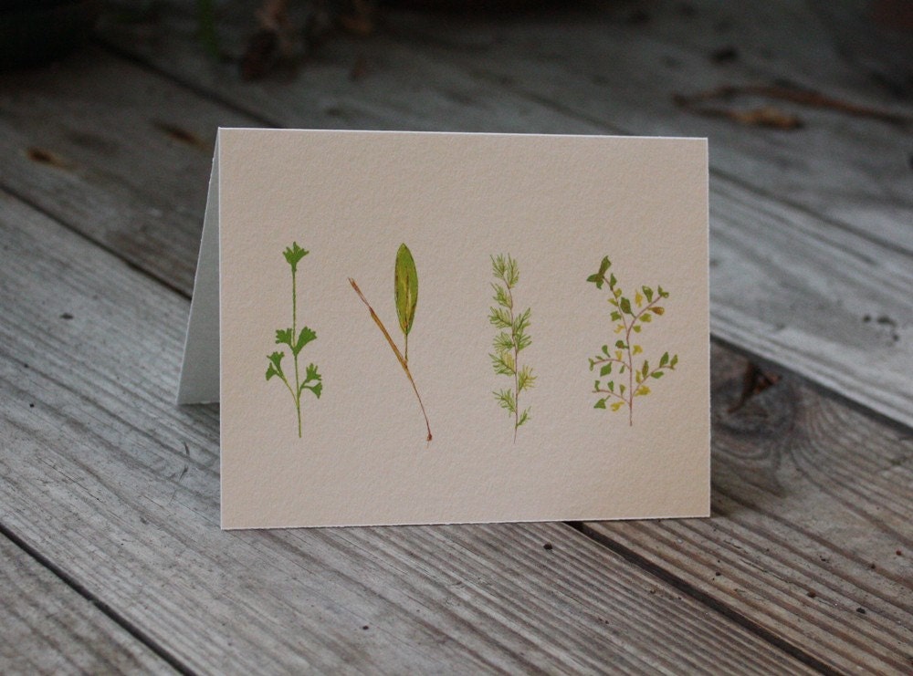 Parsley Sage Rosemary and Thyme NOTE CARDS