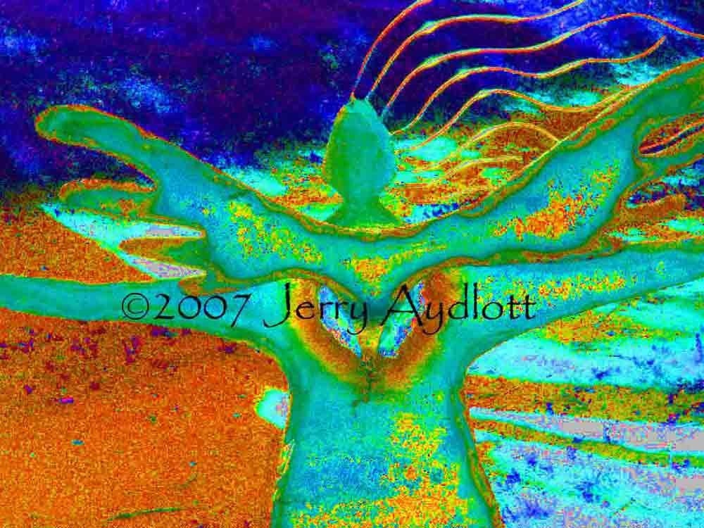 East Wind Angel by Sacred Sparks