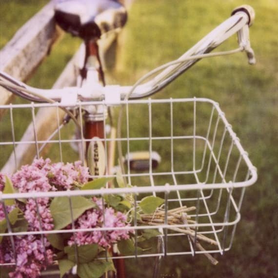 Polaroid Photography - Bike Photograph - Fine Art Photograph - Lilac- Spring - Summer Love- Signed