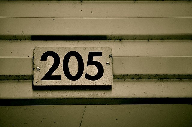 11x14 Photographic Print: "205"