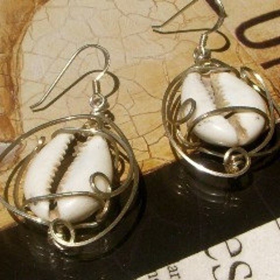 Royal Cowrie Shell Earrings in Sterling Silver