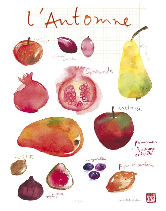 Fall fruits poster - 11 X 14 Limited edition print No 6/50 - Food art - The kitchen collection