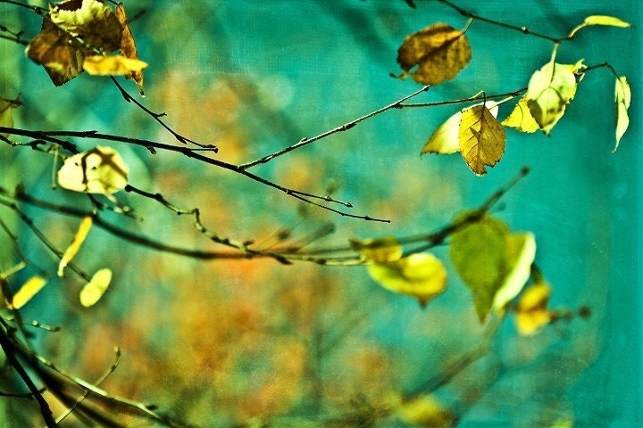Autumn by Lori411 via Etsy Autumn photograph