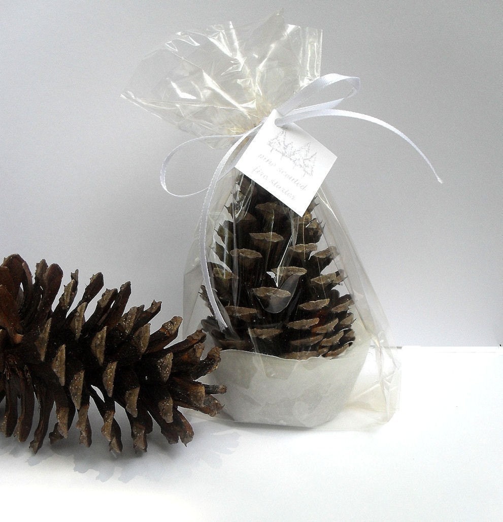 Pine Cone Fire Starters - winter wedding custom printed favor tags gift bags by nature favors