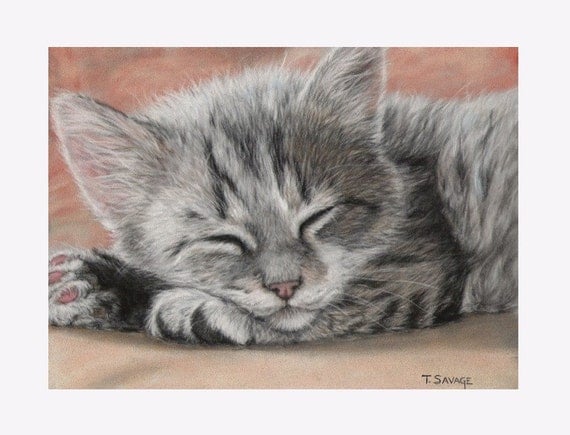 ACEO Print Cat Nap