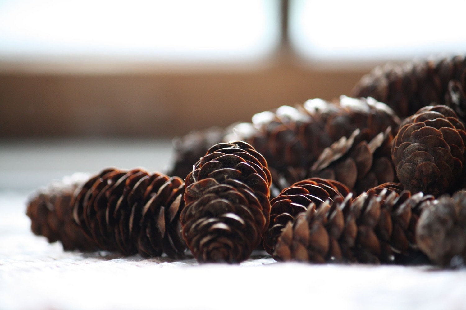 25 Real Pinecones - Small - Fall, Autumn, Harvest, Winter, Thanksgiving, & Holiday Decoration or Crafts - Featured on the FRONT PAGE of Etsy