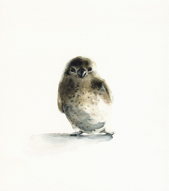 Tiny - bird art, nature, watercolor
