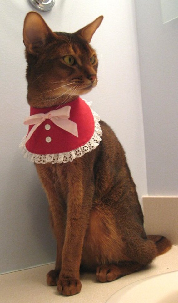 Demure red and white bib for cats or dogs 