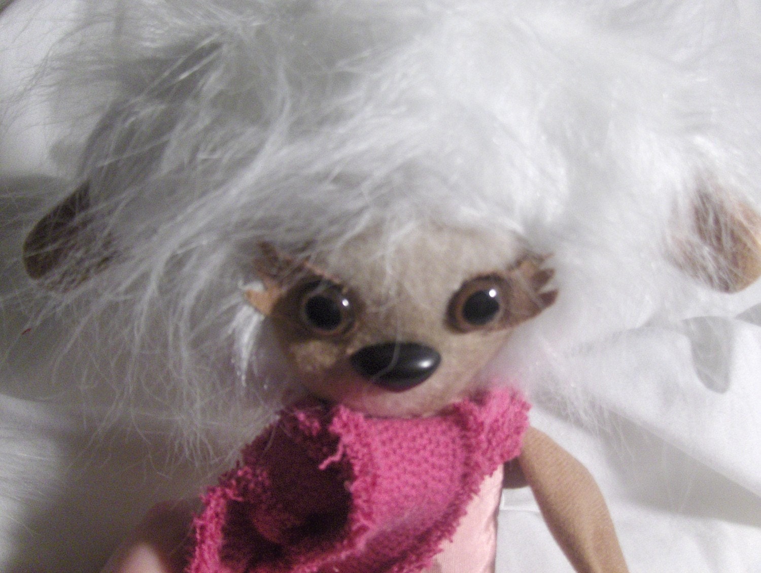 winter sloth