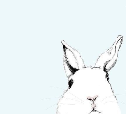 Free Shipping - White Rabbit Art Print - Where's Alice