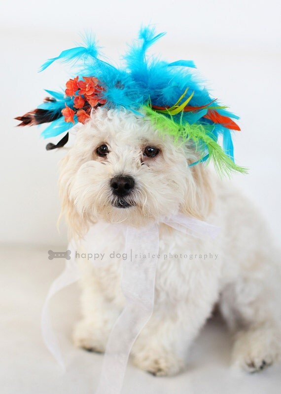 CUTIE PUPtootie hairpiece for pets, puppies, collar, little dog, photoshot props, canine, small dog, doghairpiece