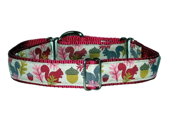 Chasing Squirrels Martingale Dog Collar 1"