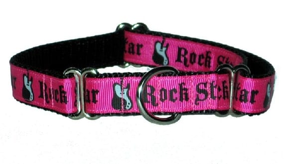 Rock Star Martingale Collar Medium