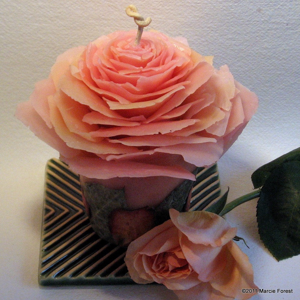   Rose Garden  -   ,   -         , Home Decor, 