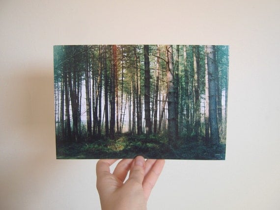 9 x 6 Woodland Print