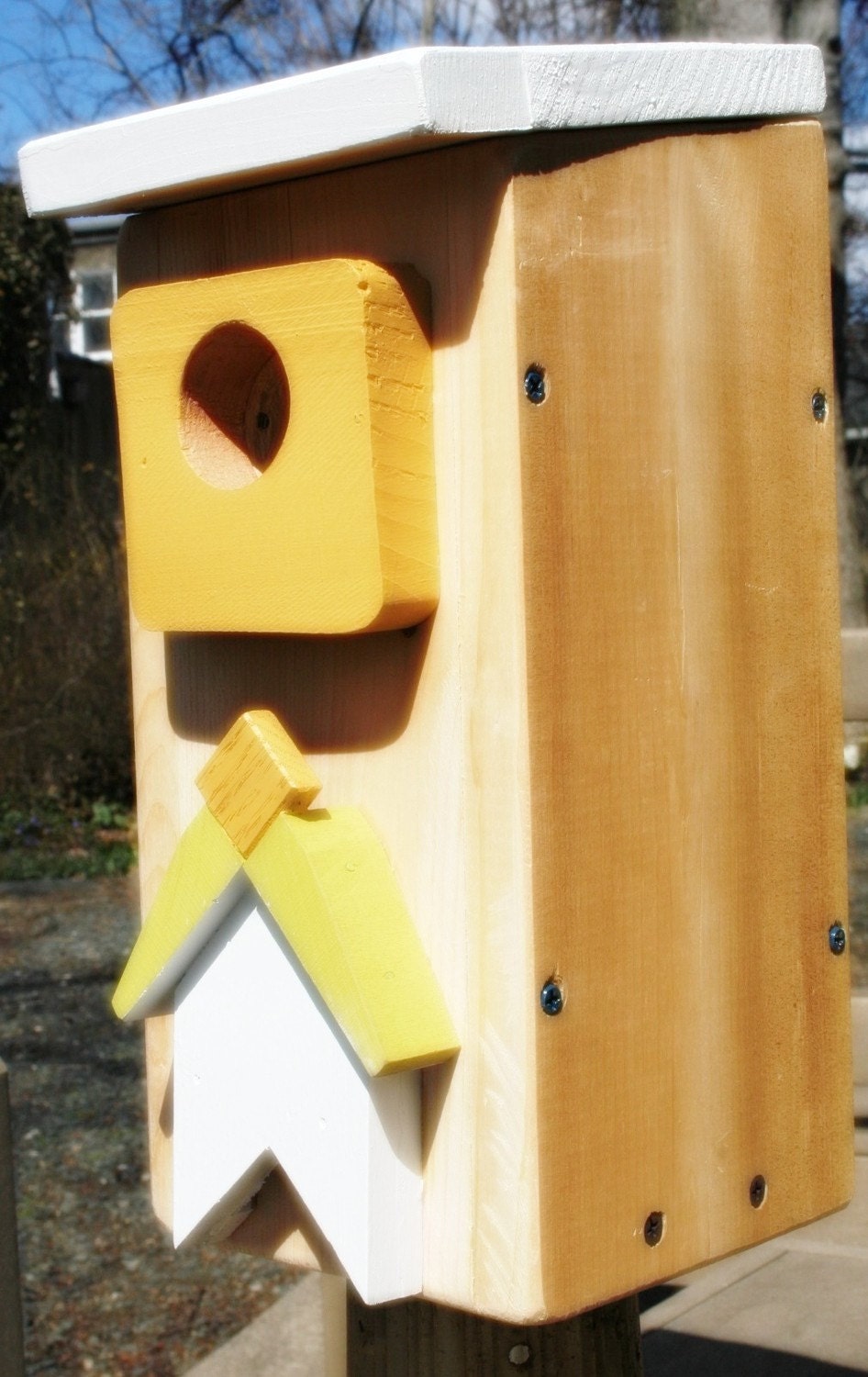 Upcycled Reclaimed Bird House / Nest Box for Woodpecker Bluebird, Chickadee, Nuthatch, Titmouse or Carolina Wrens, bird, wall decor