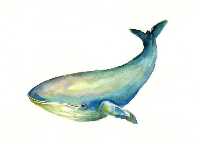 WHALE by DIMDImini ACEO print