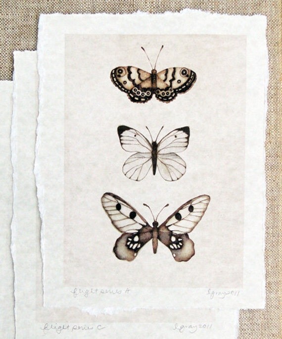 Butterfly Art by Haunted Hollow Tree