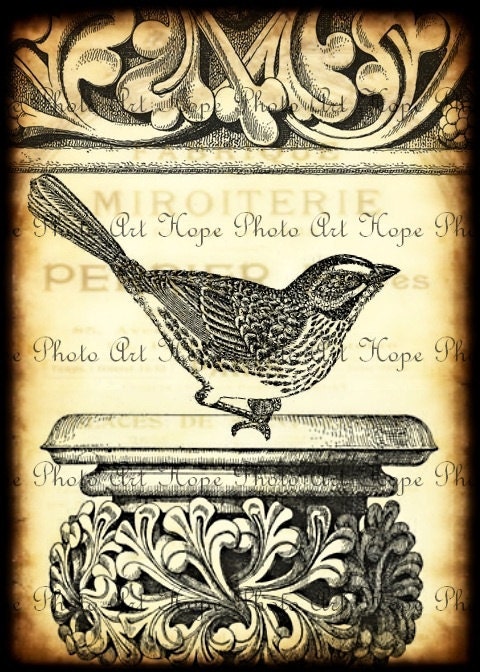 Ornamental French Bird on a Pedestal 5x7- Image Transfer Burlap Feed Sacks Tote Canvas Pillows Tea Towels greeting cards - U Print 300dpi jp
