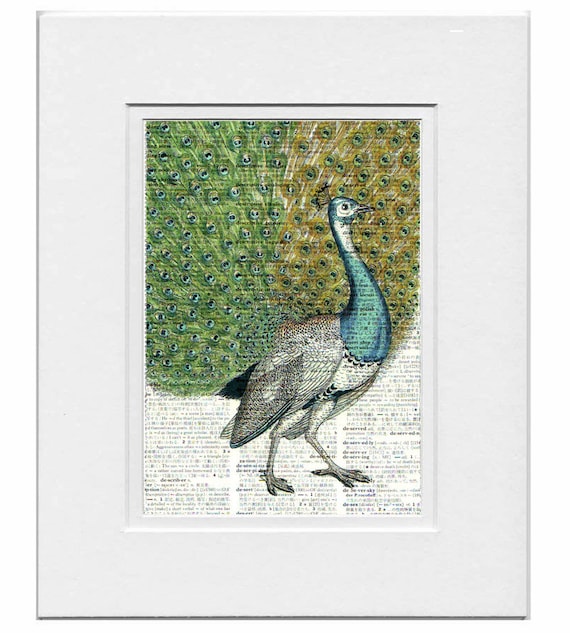 PEACOCK Portrait1- ARTWORK printed on Repurposed Vintage Dictionary page- FREE Domestic Shipping