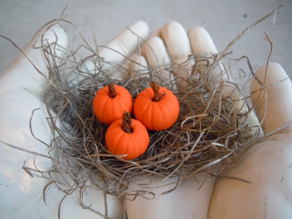 Miniature Pumpkins Fall Autumn Orange Harvest