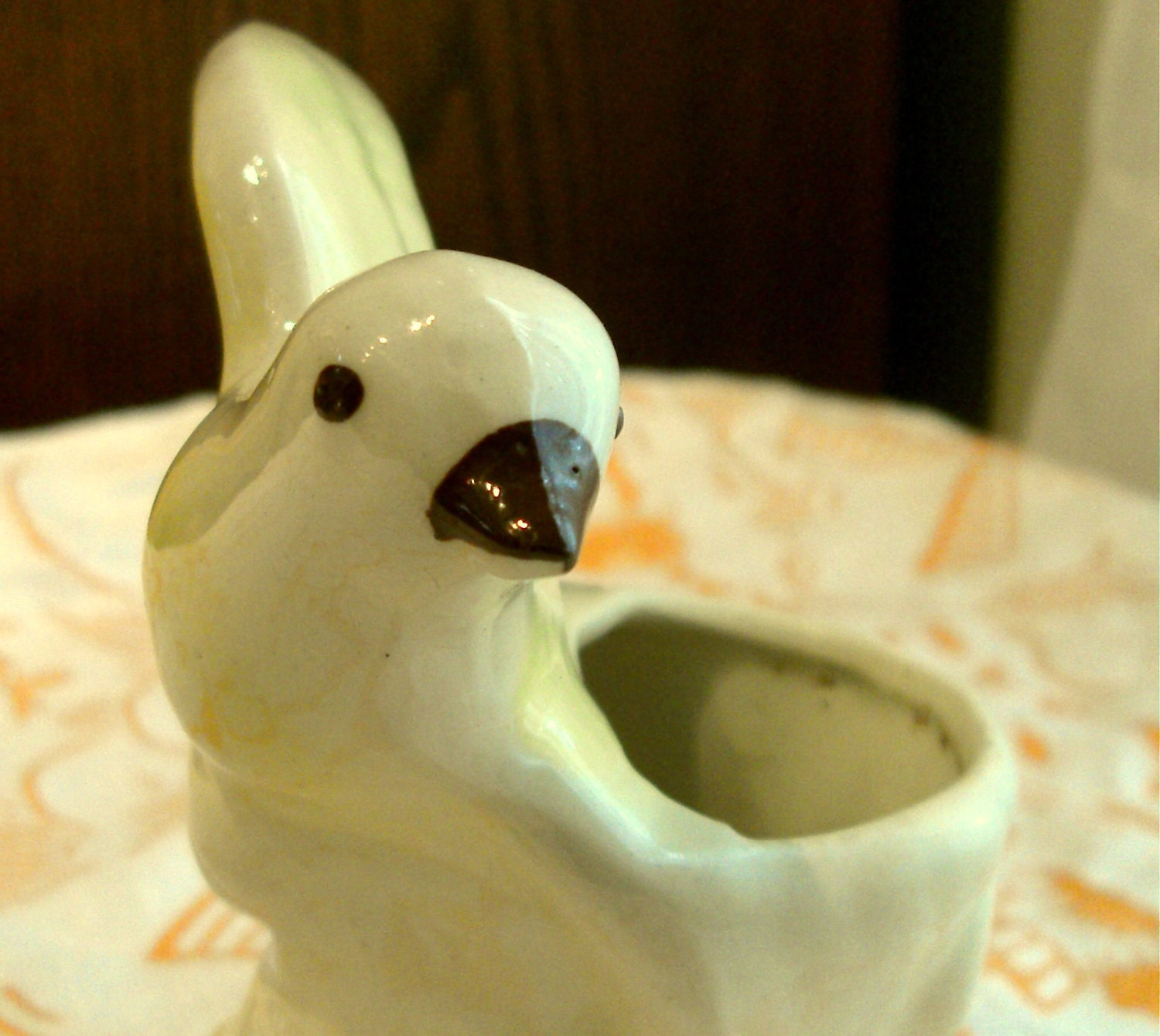 Parakeet Planter