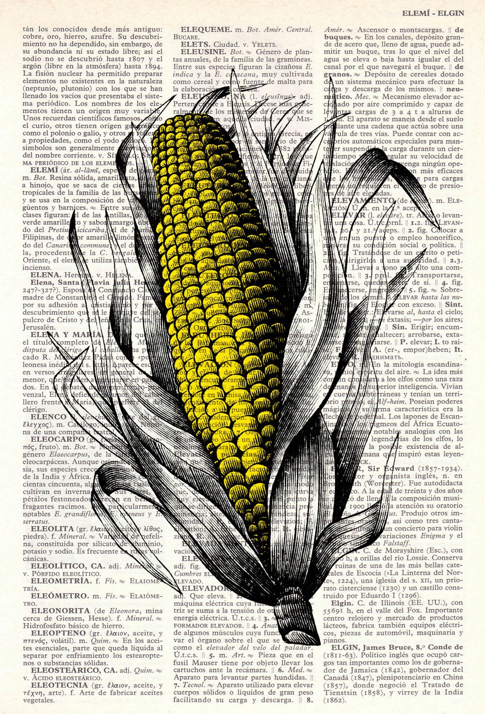 Vintage Book Print Dictionary or Encyclopedia Page Print- Book print Corncob  Maize Print on Vintage Dictionary Book art