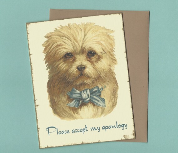 Apology Card, I'm Sorry Card