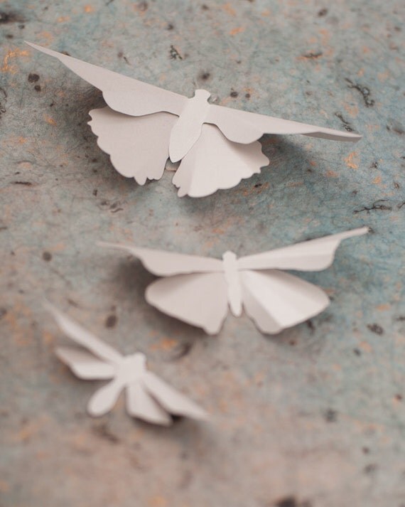 3D Wall Butterflies, 10 Brushed Aluminum Metallic Butterfly Silhouettes for Girls Room, Nursery, and Home Art Decor