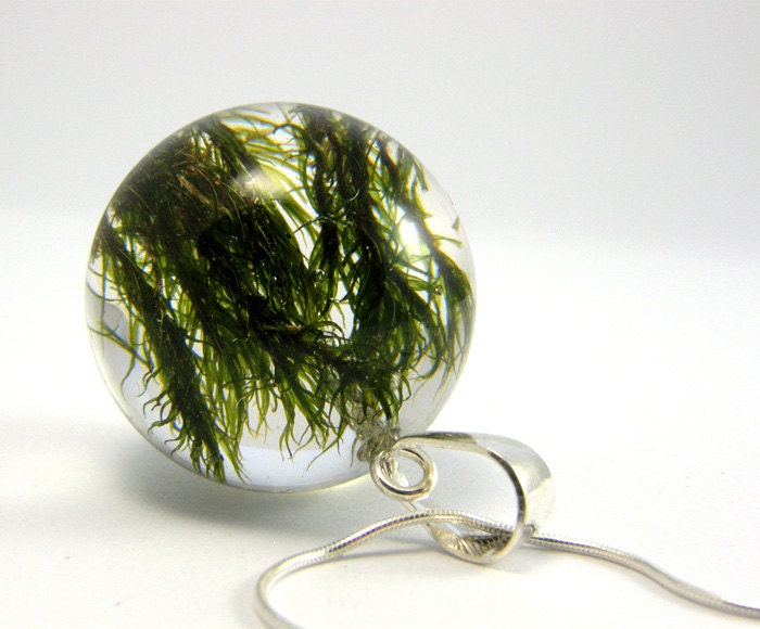 Pendant with moss