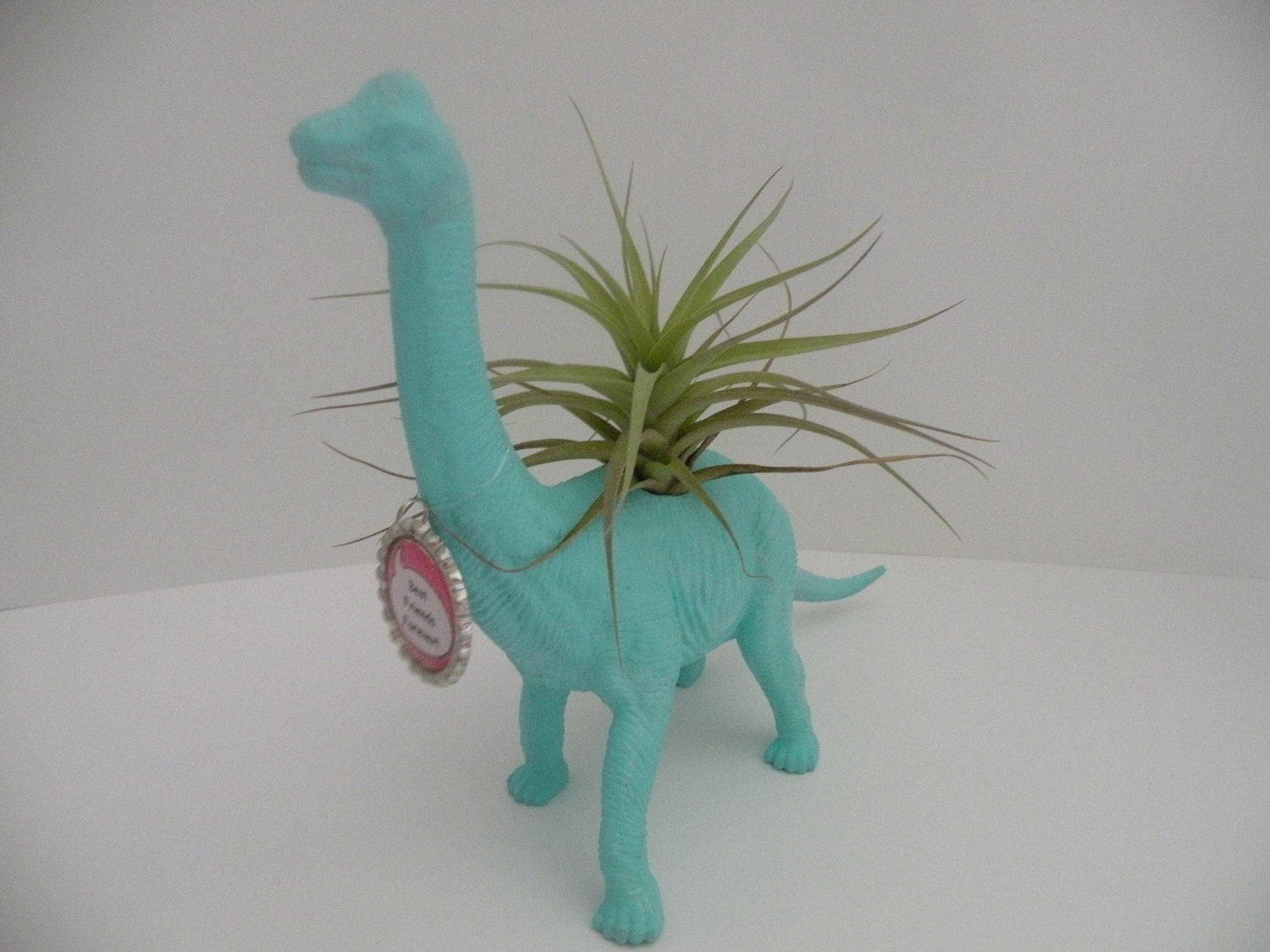 Dinosaur planter with air plant and personalized bottlecap. College dorm or kids room decoration.