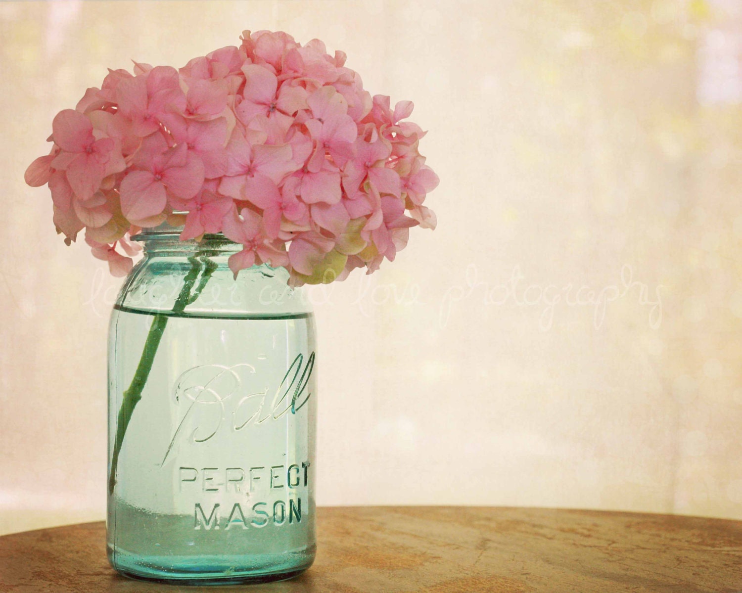 READY TO SHIP Pink Hydrangea 8x10 Fine Art Photography Shabby Chic Romantic Feminine Aqua Blue Ball Mason Jar Home Decor Wall Art