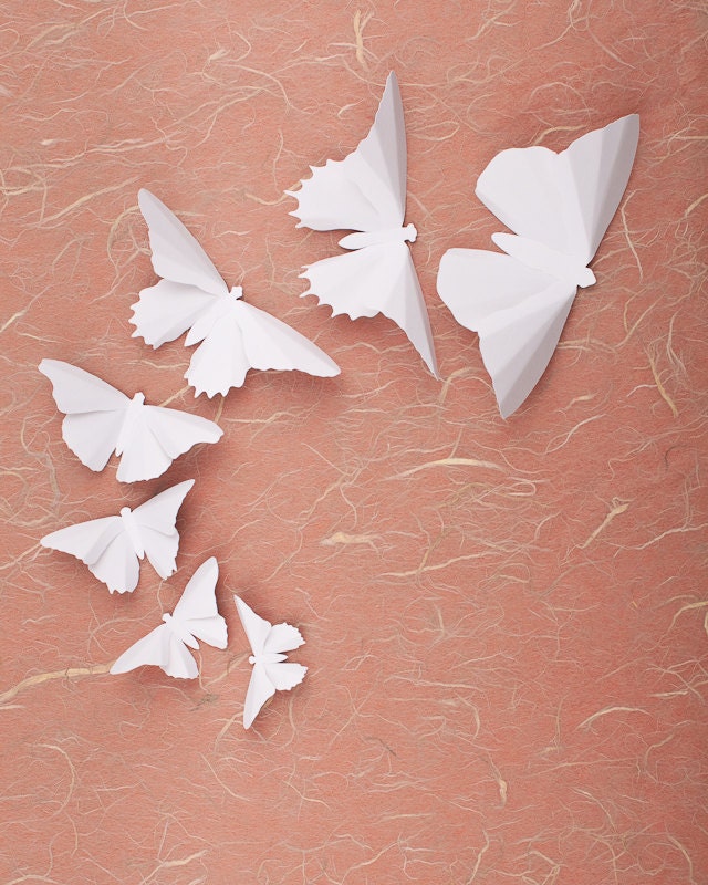 3D Butterfly Wall Art: 60 Snow White Butterflies for Whimsical Wall Art