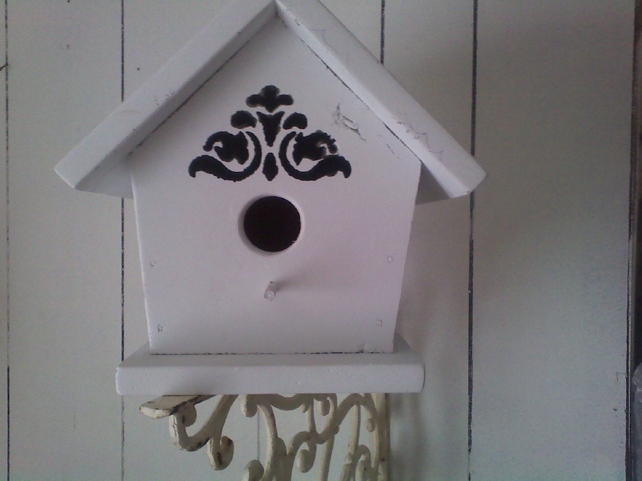 Bird Houses and coming soon Bird Feeders & Bat Houses