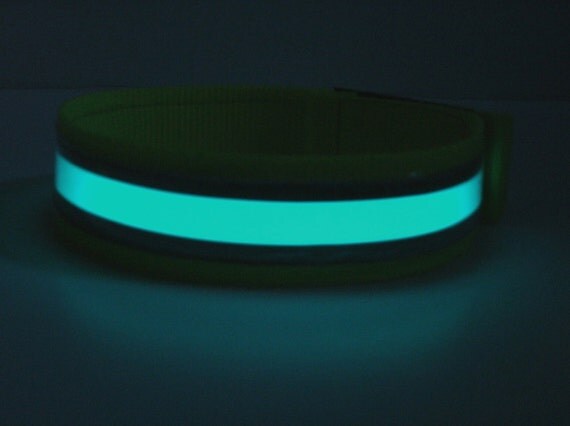 Blue Reflective Glow in the Dark Safety Band Dog Collar