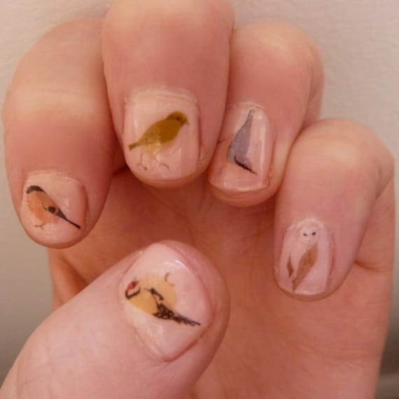 mixed bird nail transfers