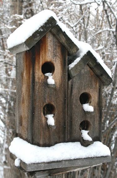 Bird Houses, Lamoville, NV