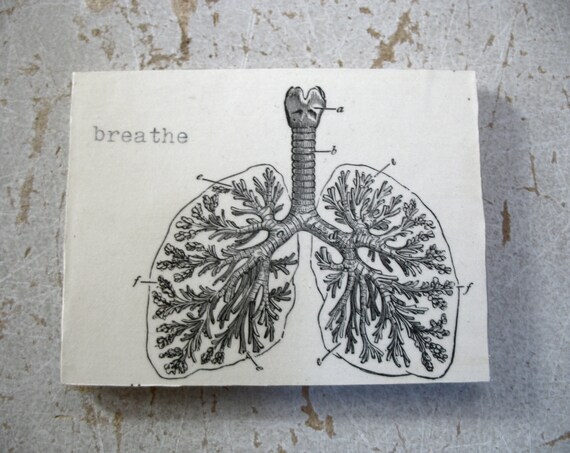 Human Lungs Magnet Upcycled Eco Friendly