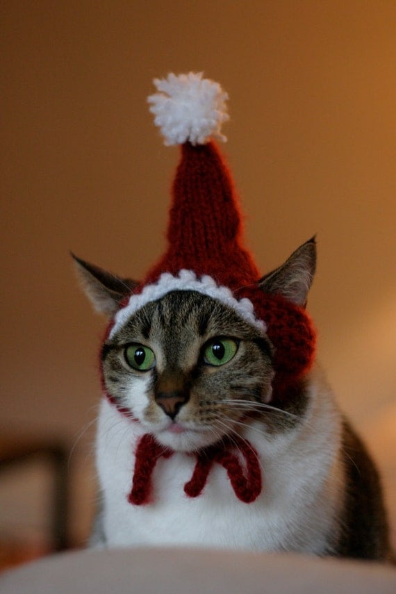 The Santa Cat Hat